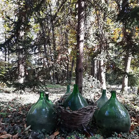 Il Castagneto Lodge